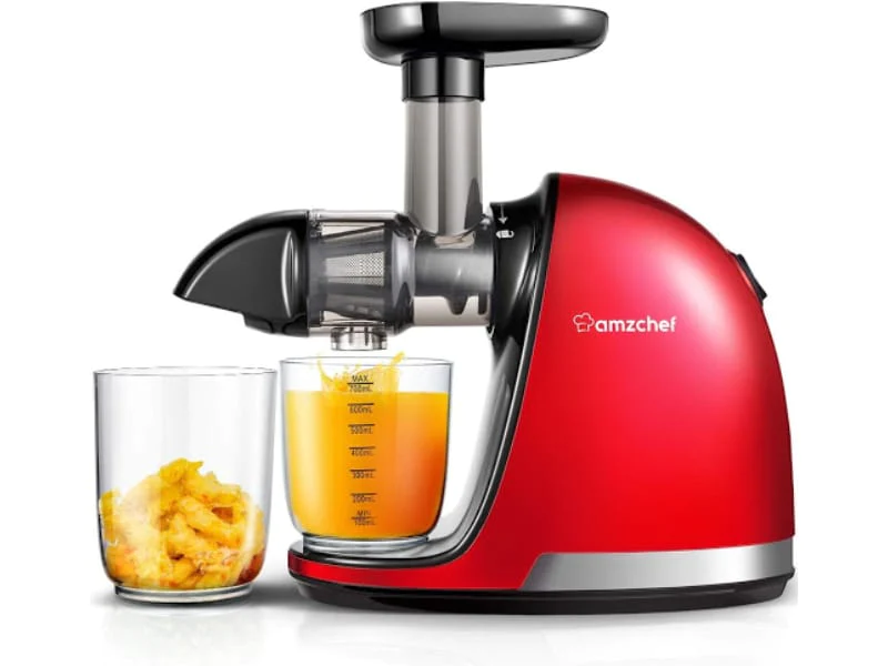 AmzChef Professional Cold Press Juicer Machine