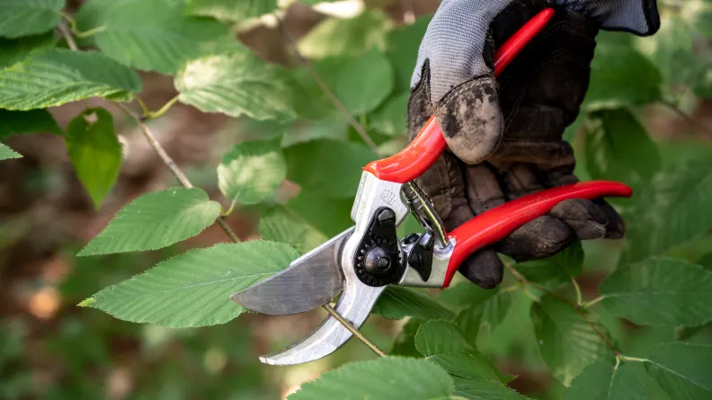 THE BEST GARDENING TOOLS AND EQUIPMENT OF 2023