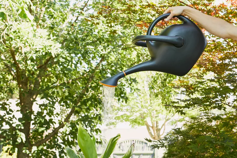 The 7 Best Watering Cans, According to Our Testing