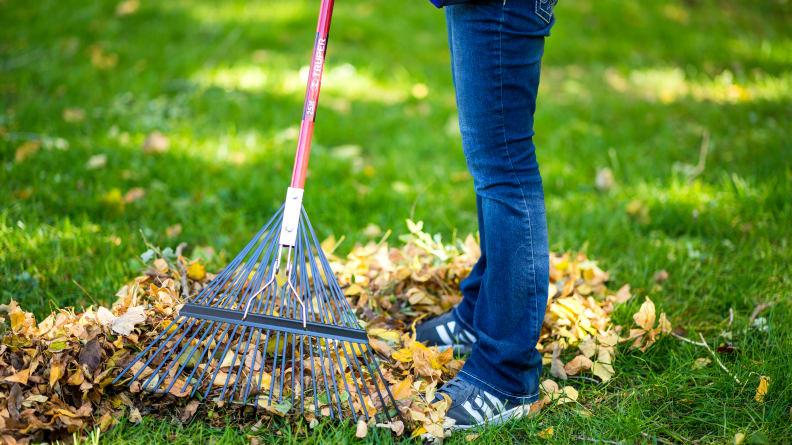 THE BEST GARDENING TOOLS AND EQUIPMENT OF 2023