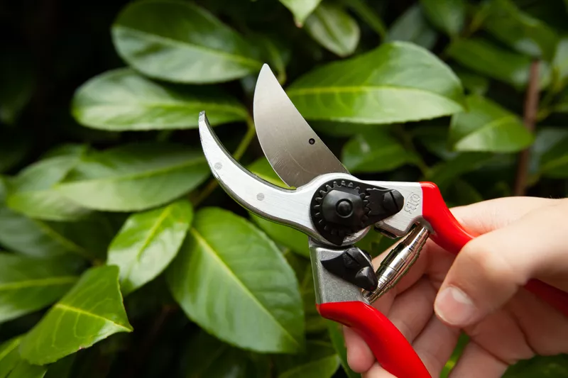 The 9 Best Pruners of 2023, According to a Master Gardener