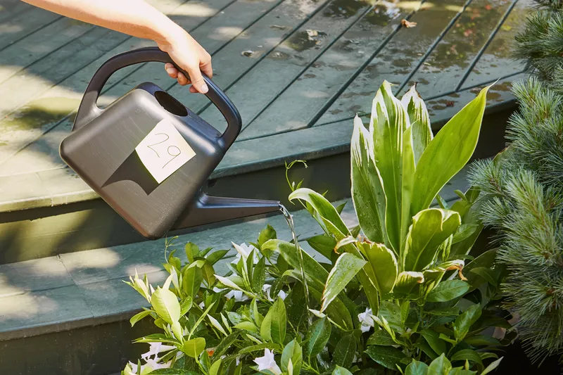 The 7 Best Watering Cans, According to Our Testing