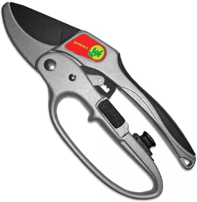 Best Ratchet: The Gardener's Friend Ratchet Pruning Shears