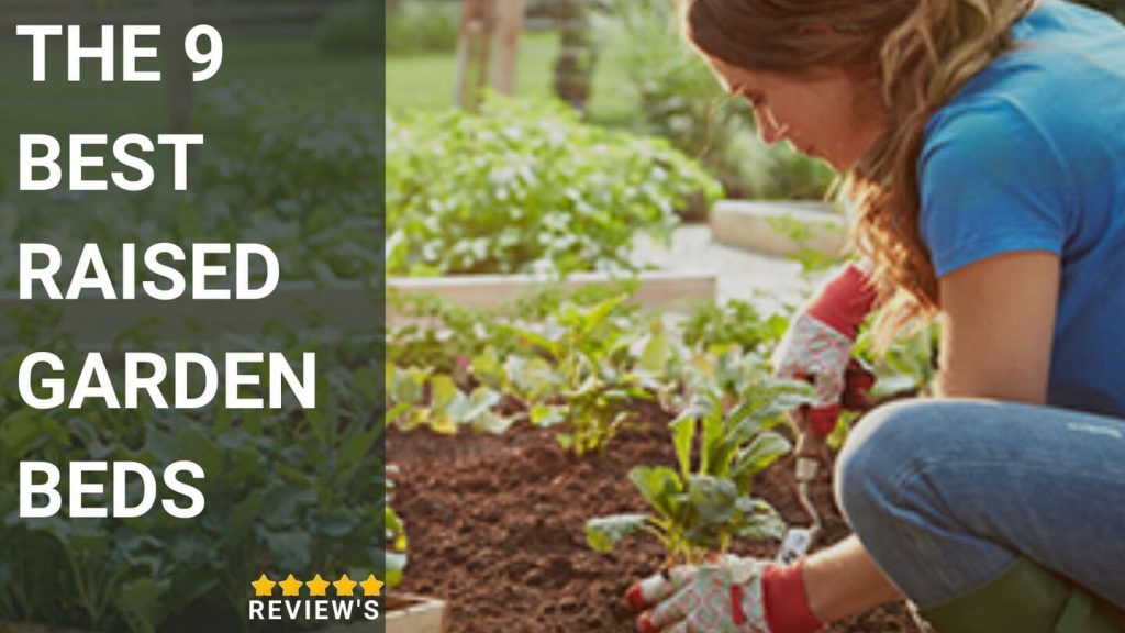 The 9 Best Raised Garden Beds of 2023