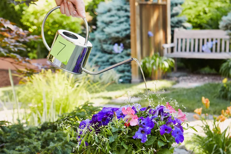 The 7 Best Watering Cans, According to Our Testing