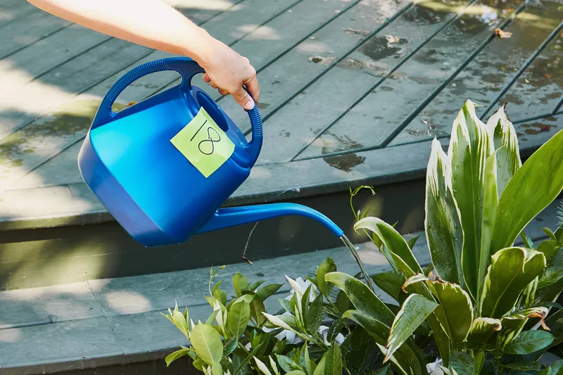 The 7 Best Watering Cans, According to Our Testing