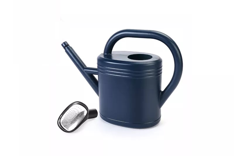 The 7 Best Watering Cans, According to Our Testing