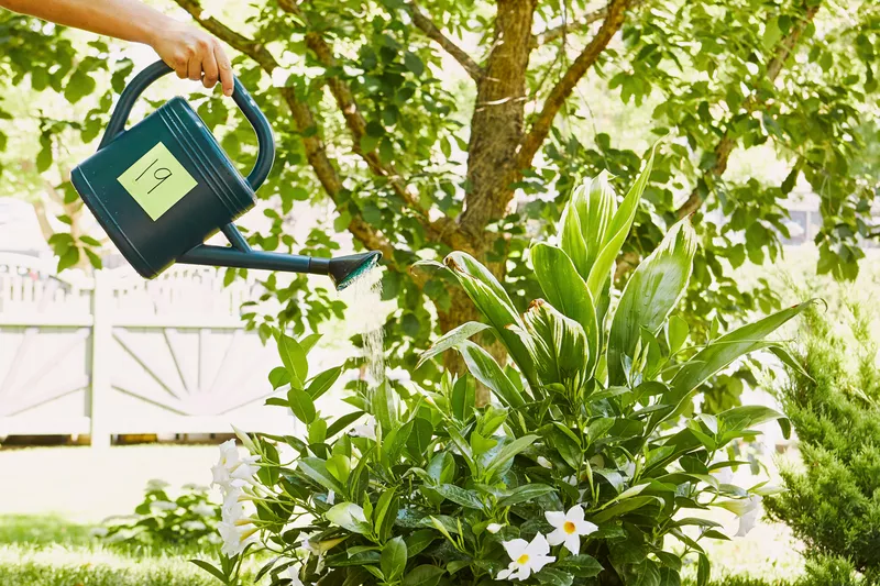 The 7 Best Watering Cans, According to Our Testing