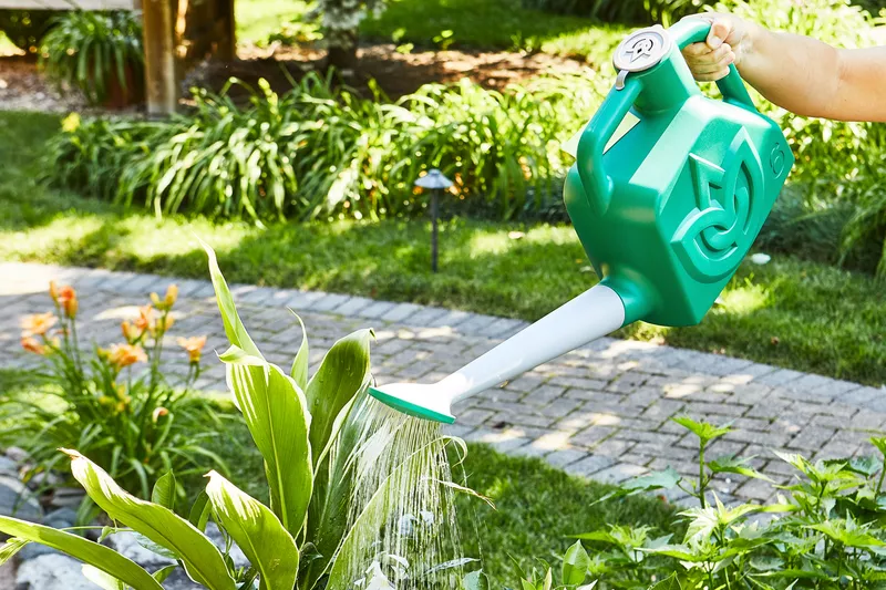 The 7 Best Watering Cans, According to Our Testing