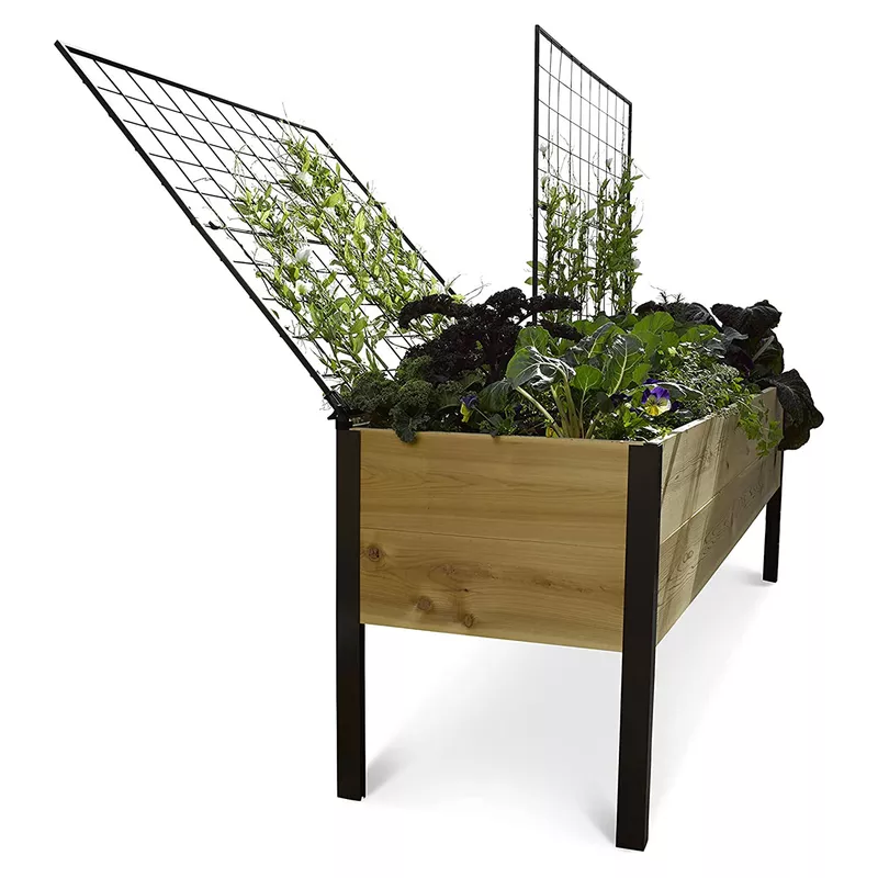 The 9 Best Raised Garden Beds of 2023