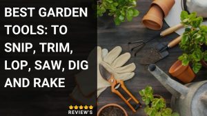 Best garden tools 2023: to snip, trim, lop, saw, dig and rake