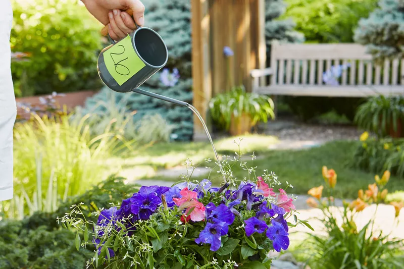 The 7 Best Watering Cans, According to Our Testing