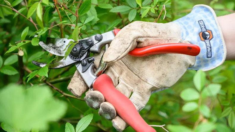 THE BEST GARDENING TOOLS AND EQUIPMENT OF 2023