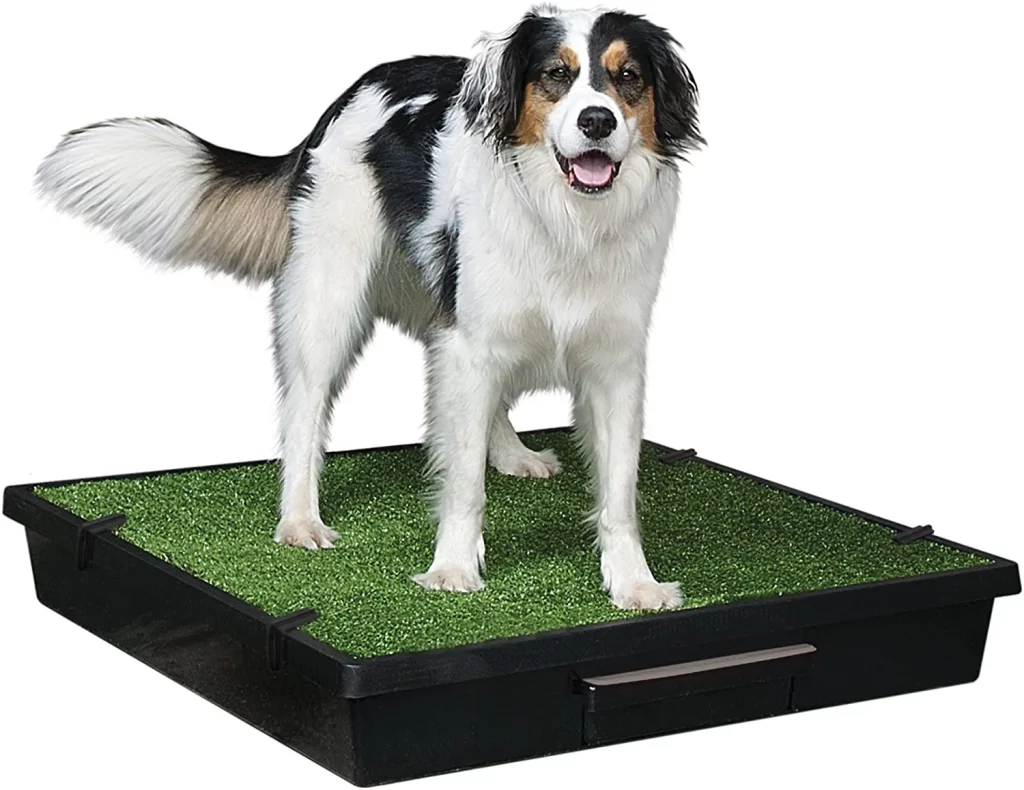 PetSafe Pet Loo Portable Dog Potty, Alternative to Puppy Pads, Large 