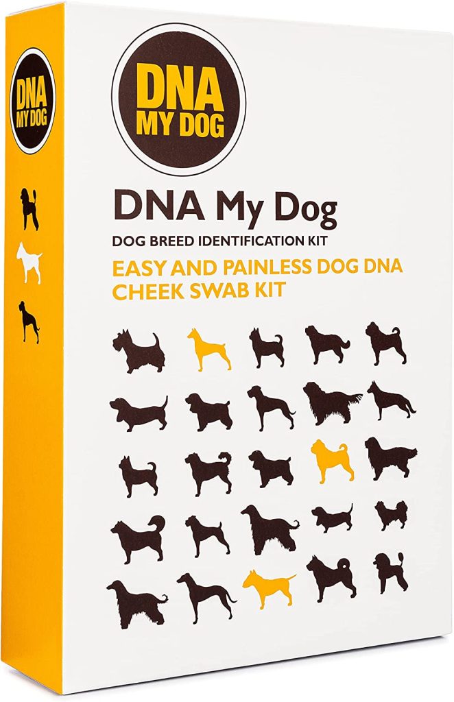 Dna My Dog Genetic Testing Kit – Mixed Breed Identification, Personality Traits – for Puppies to Adult Dogs, Non-Invasive Cheek Swab 