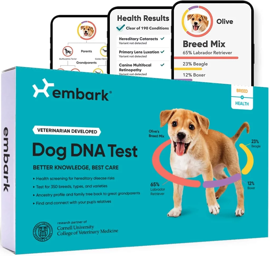 Embark | Dog DNA Test | Breed & Health Kit | Breed Identification & Canine Genetic Health Screening 