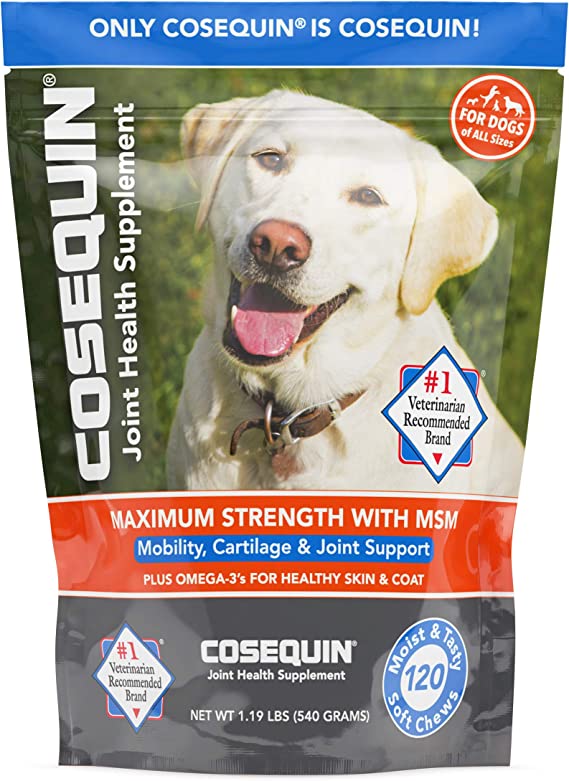 Nutramax Cosequin Joint Health Supplement for Dogs - With Glucosamine, Chondroitin, MSM, and Omega-3's, 120 Soft Chews 